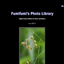 fumifumi's photo library
