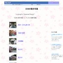 日本の美を探して