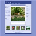 Kiriott -For Dear Stray Cats-