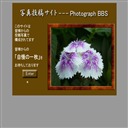 ʐ^eTCgPhotograph BBS